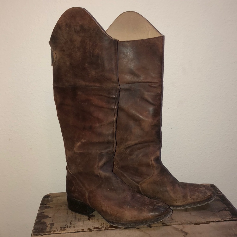 Freebird By Steven Stable